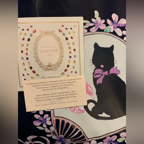 Rare Ladurée Paris Les Secrets Patent Navy Cat Large Tote Bag Hard to Find Print - Picture 2 of 15